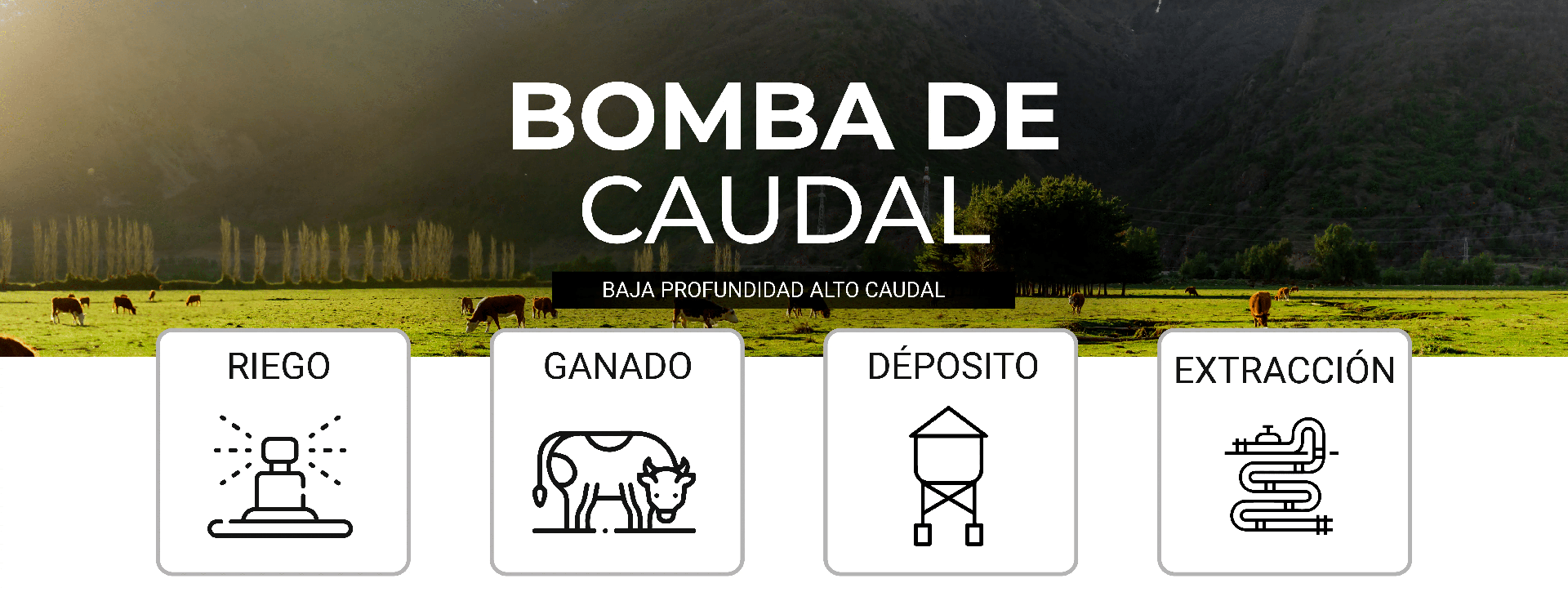 Bombas de caudal no sumergible