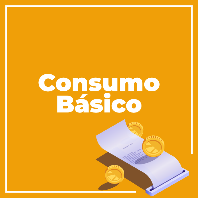 Sistemas de paneles consumo básico on grid