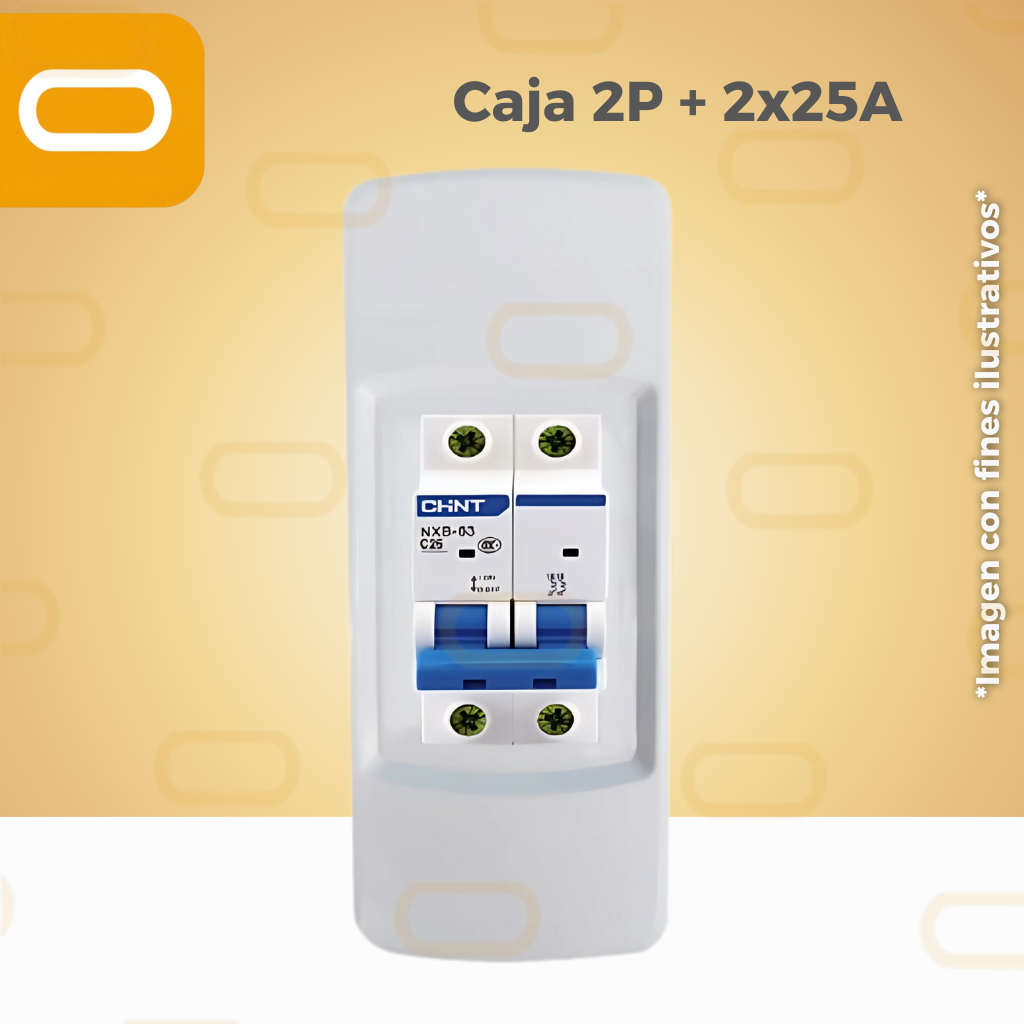 CAJA 2 POLOS + FLIPON 2x25A Chint